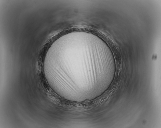 X0000097991207200804071142