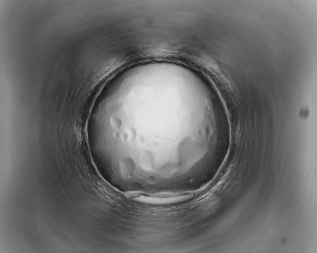 X0000097991209200804071142