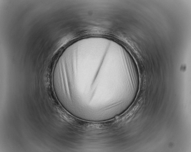 X0000097991211200804071142