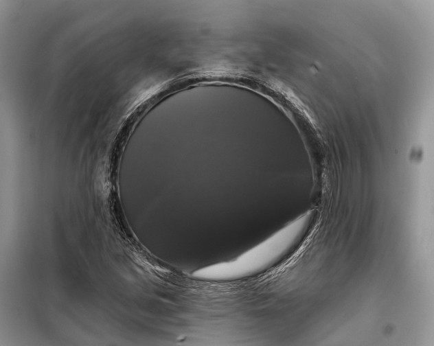 X0000097991213200804071142