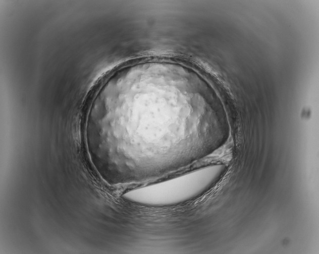 X0000097991214200804071142