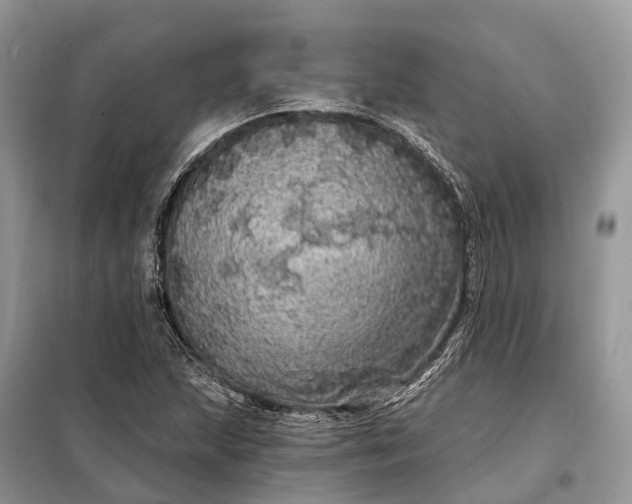 X0000097991215200804071142