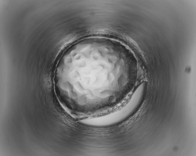 X0000097991218200804071142