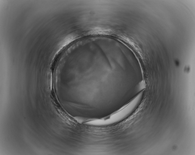 X0000097991219200804071142