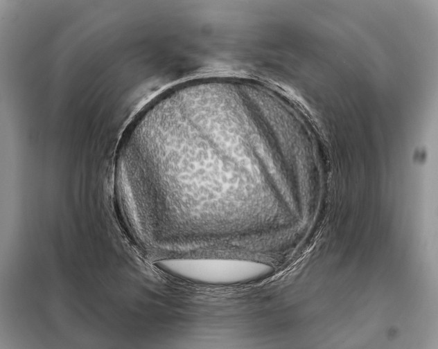 X0000097991220200804071142
