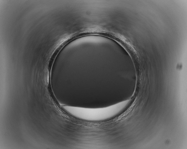 X0000097991221200804071142