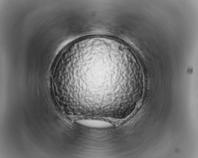 X0000097991222200804071142