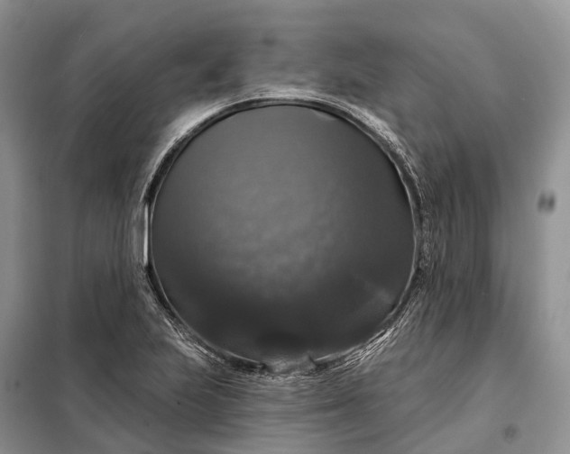 X0000097991223200804071142