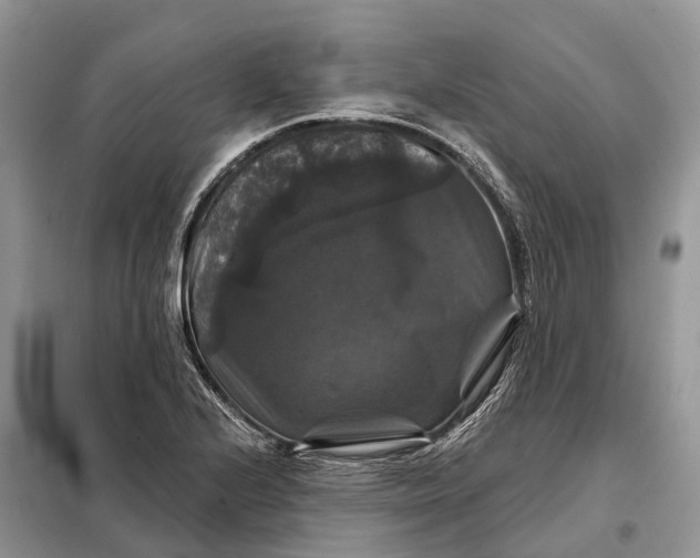 X0000097991224200804071142