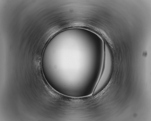 X0000097991225200804071142