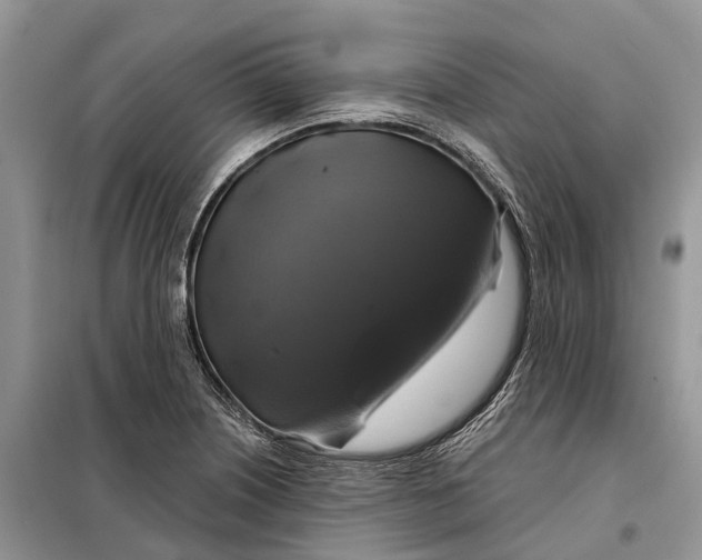 X0000097991226200804071142