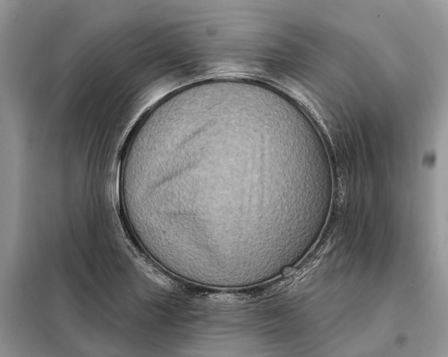 X0000097991227200804071142