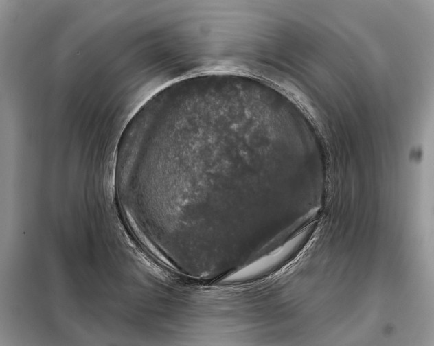 X0000097991228200804071142