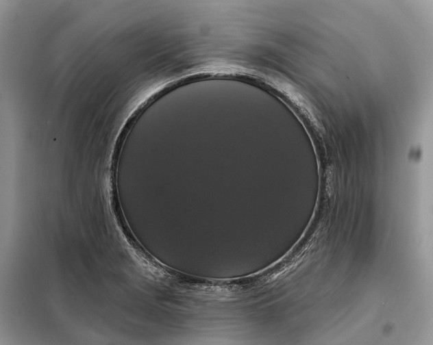 X0000097991229200804071143