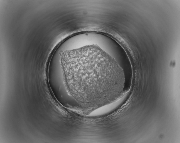 X0000097991230200804071143