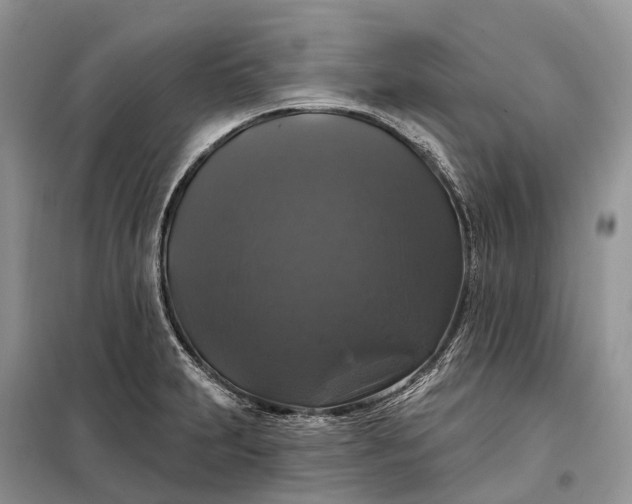 X0000097991231200804071143