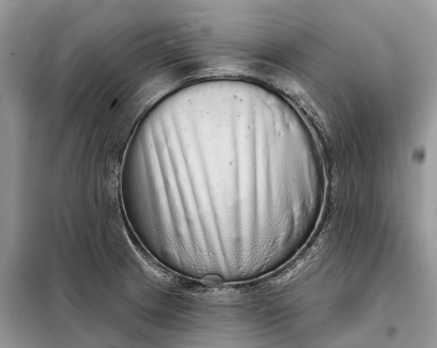 X0000097991233200804071143