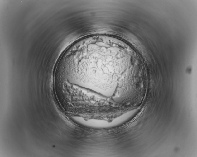 X0000097991234200804071143