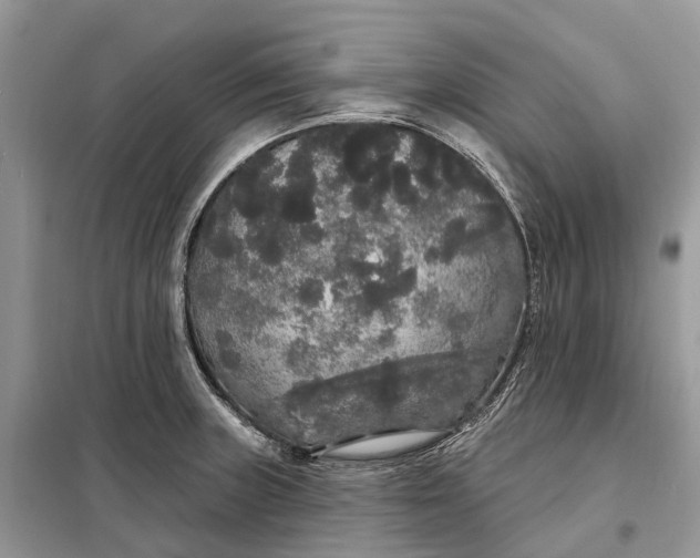 X0000097991235200804071143