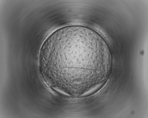 X0000097991236200804071143