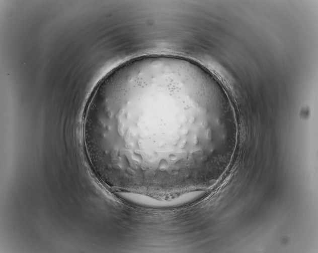 X0000097991238200804071143