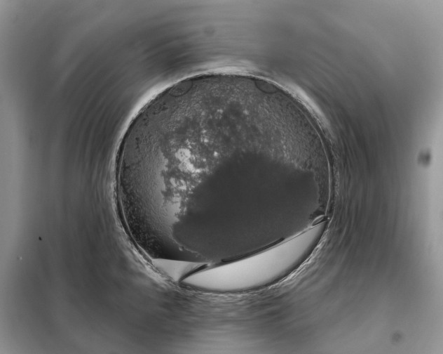 X0000097991240200804071143