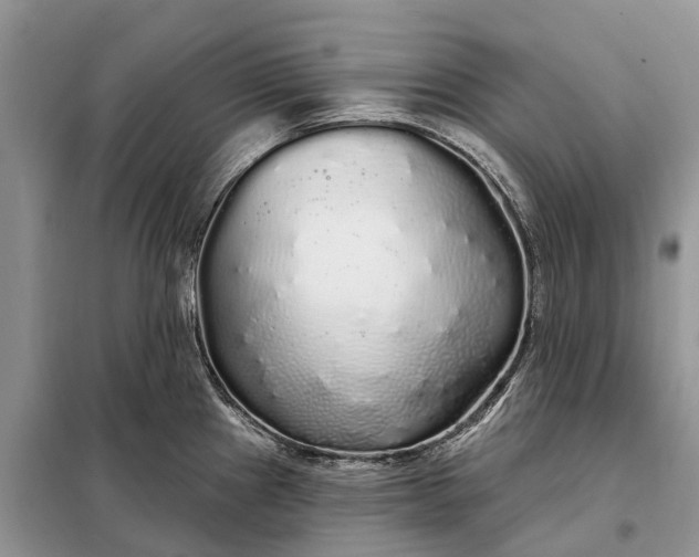 X0000097991241200804071143