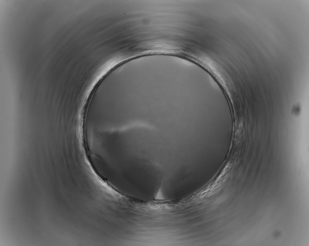 X0000097991243200804071143