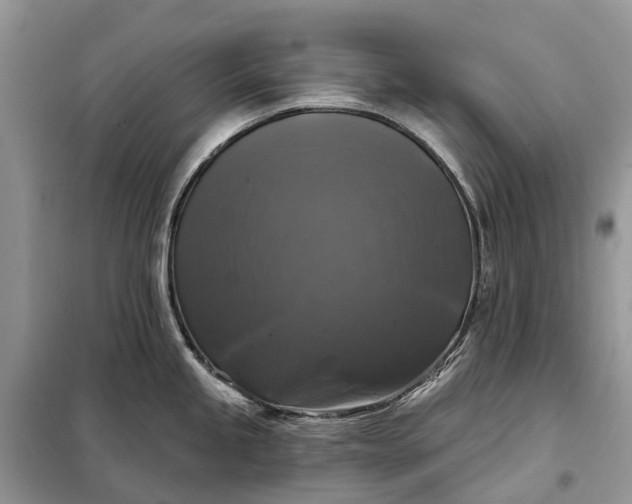X0000097991245200804071143
