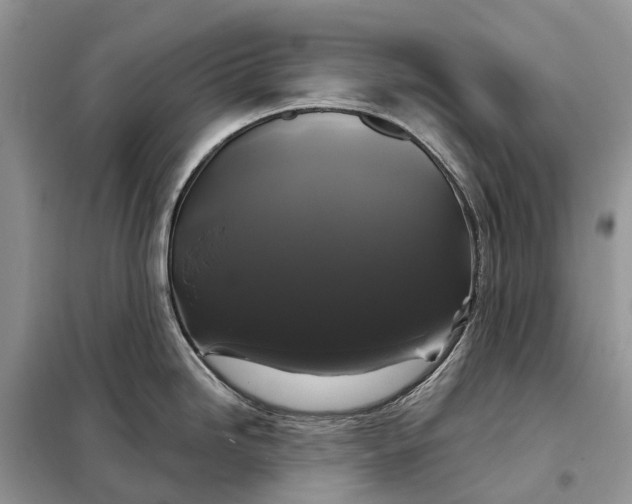 X0000097991246200804071143