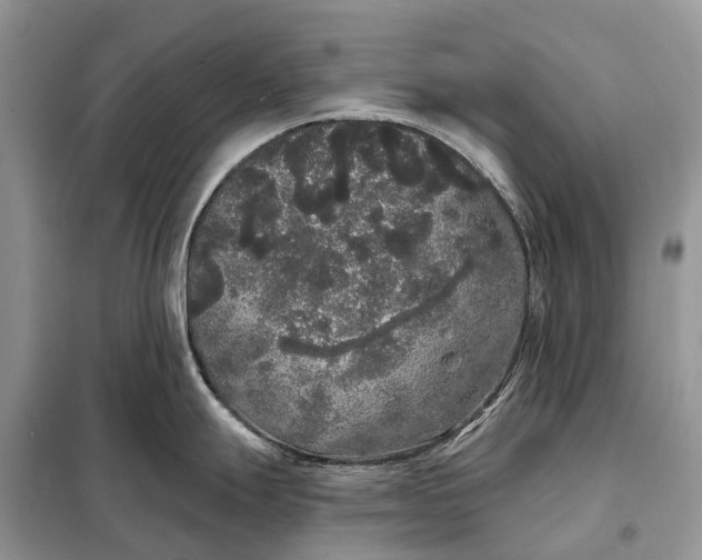 X0000097991247200804071143