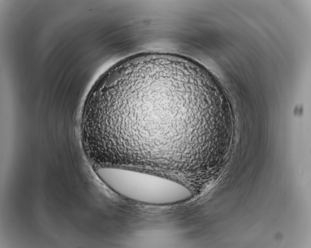 X0000097991248200804071143