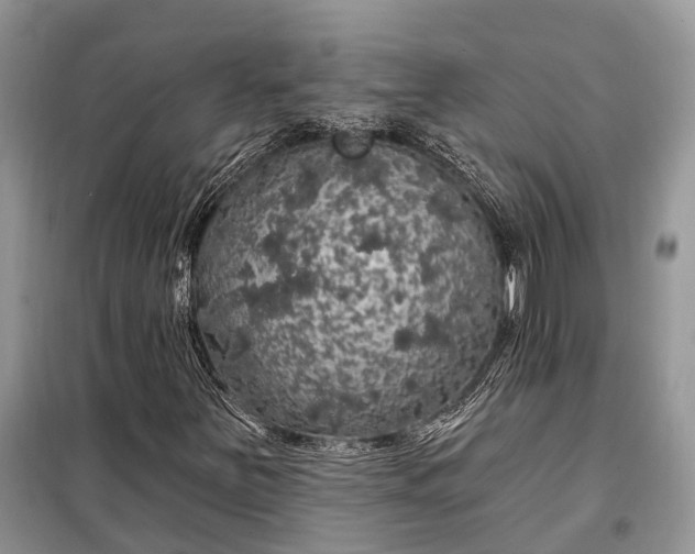 X0000097991251200804071142