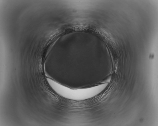 X0000097991252200804071142