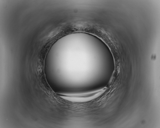 X0000097991253200804071142