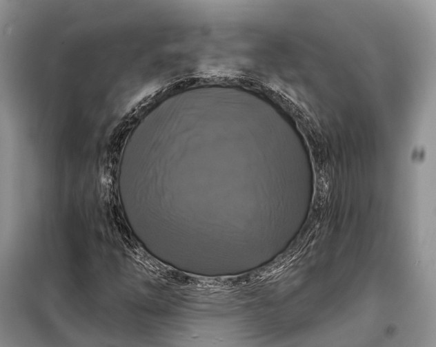 X0000097991254200804071142