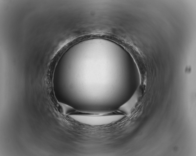 X0000097991256200804071142