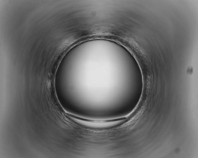 X0000097991257200804071142