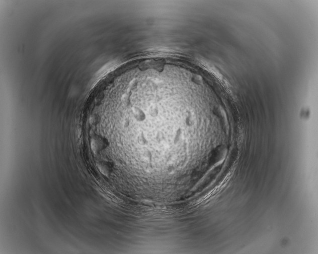 X0000097991259200804071142
