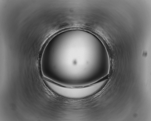 X0000097991260200804071142