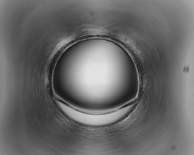 X0000097991261200804071142