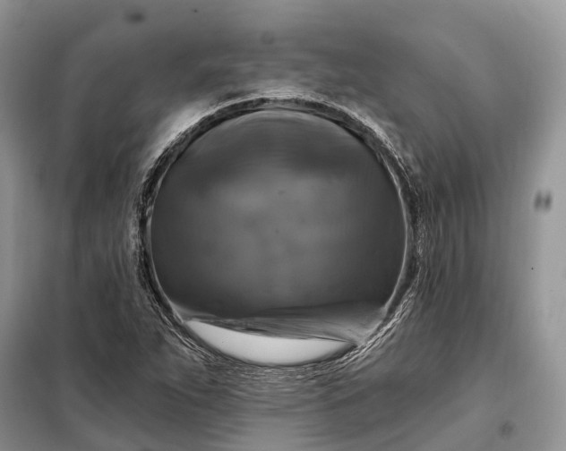X0000097991263200804071142