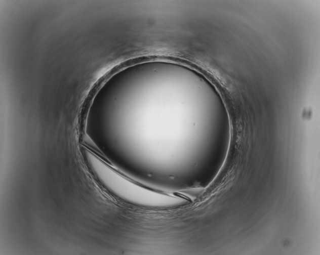 X0000097991264200804071142