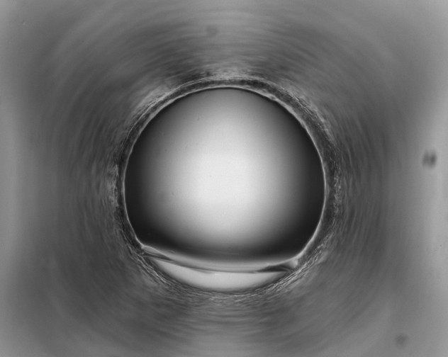 X0000097991265200804071142