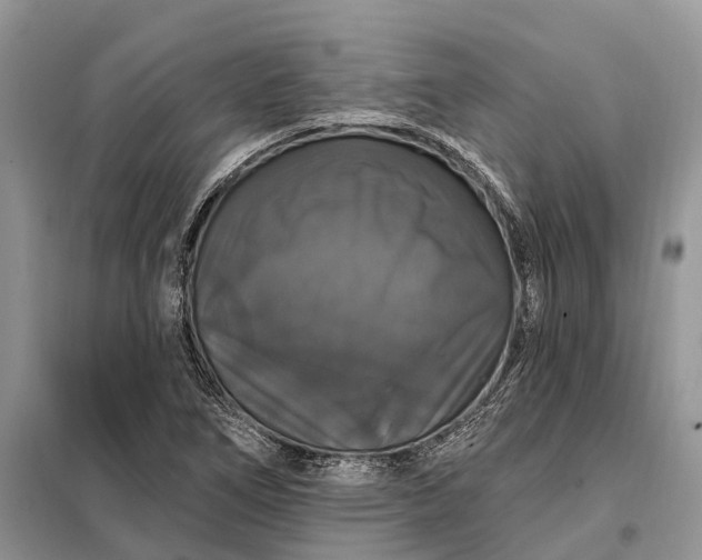 X0000097991266200804071142