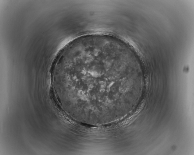 X0000097991267200804071142