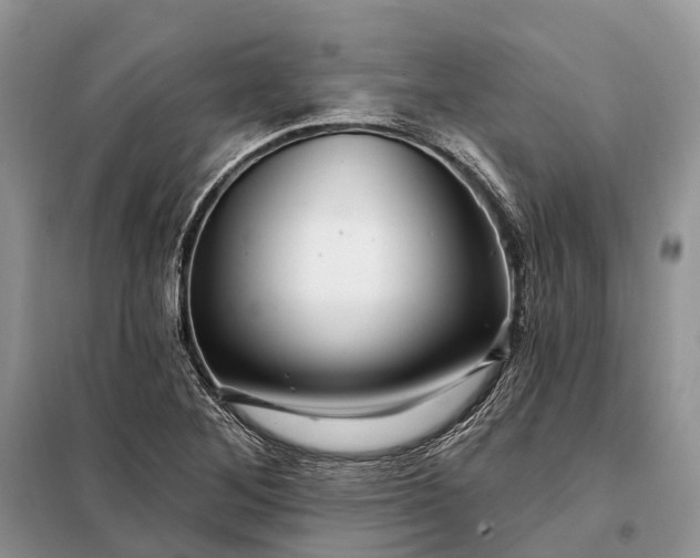 X0000097991268200804071142