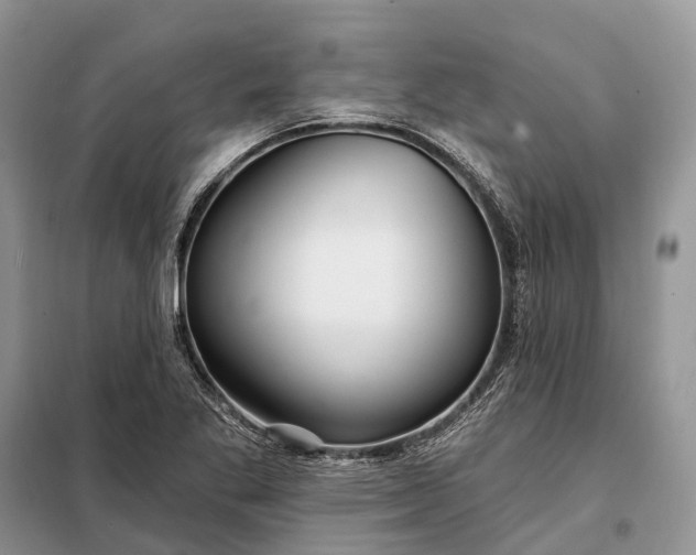 X0000097991269200804071141