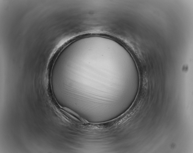 X0000097991270200804071141