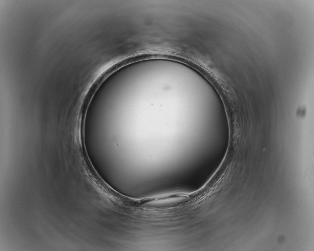 X0000097991272200804071141